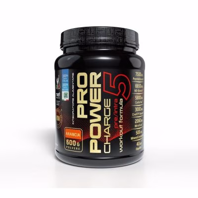 PRO POWER CHARGE 600 GR
