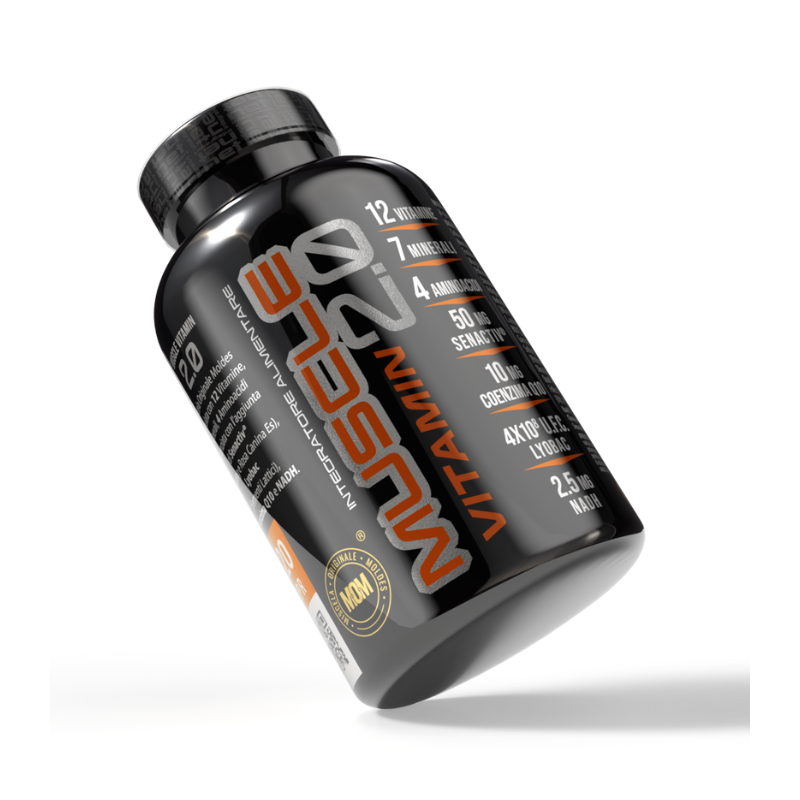 MUSCLE VITAMIN 2.0 - immagine 2