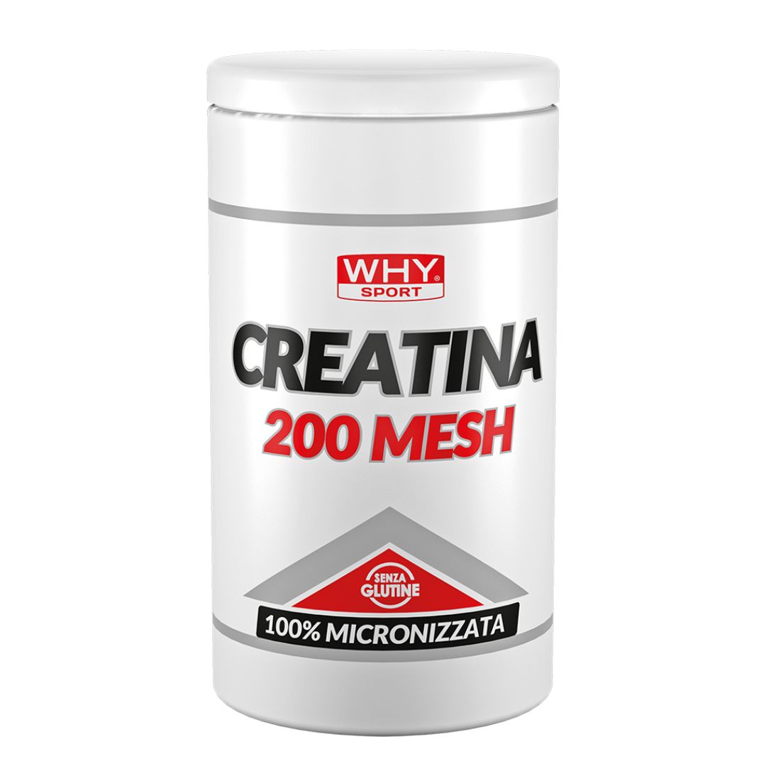 WHY SPORT CREATINA 200 MESH 500G